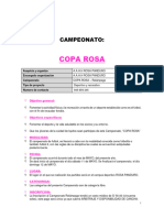 Bases de Copa Rosa-1