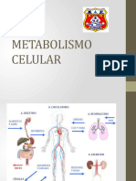 Biologia20 2014 140701154229 Phpapp01