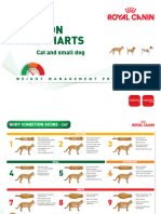 Body Condition Score Charts Cat and Small Dog