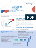 Flysheet Hummingbird