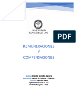 Ensayo Remuneraciones