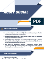 Audit Social