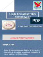 HEMATOPOYESIS