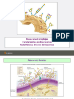 Clases Moléculas Complejas 2021-2 Actualizado - Copy 2