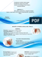 Grupo Numero 2 Anatomia Definitivo