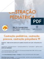 Castração Pediátrica