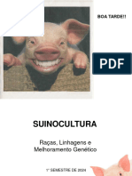 Aula Raças, Linhagens e Melhoramento Genético Na Suinocultura