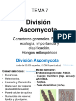 Tema7 Ascomycota