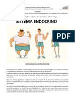 TALLER - SISTEMA - ENDOCRINO - 2020 - Convertido - 2 - 1