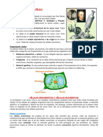 Ficha de SESIÓN 2 - Los Seres Vivos Están Formadas Por Células - 030557