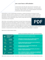 Testes de Desafio Humano: Suas Fases e Dificuldades