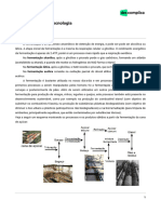 Fermentação e Biotecnologia