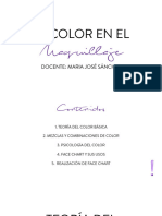 Teoria Del Color y Face Chart