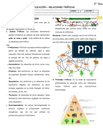 Ficha de Actividad - Relaciones Tróficas