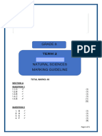 Natural Sciences Grade 8 Term 2 Memorandum 2023