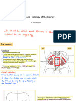 1 Kidney