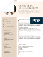 CV Français Professionnel Marron Simple