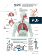 HTTPSWWW - Curriculumnacional.clestudiante621articles-25439 Recurso PDF PDF