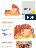 SVN - Liver - 240505 - 104826