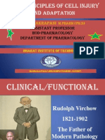 ETIOLOGY of Cell Injury