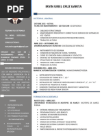 Curriculum Vitae IRVIN URIEL CRUZ GARITA