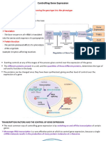 Controlling Gene Expression