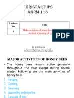 Major Activities of Honey Bee