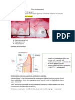 Biologia Do Periodonto e Exame Periodontal