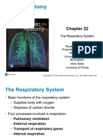 Chapter 22 Respiratory System Anatomy