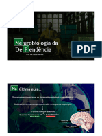 Aula 4. Neurobiologia Da Dependência