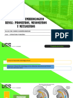 Semana 9 Embriologia Renal