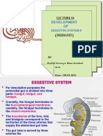 Git Development-II..... Mcm..... 2024