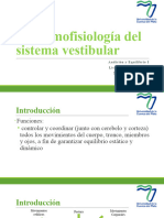 Clase 5 Sistema Vestibular