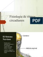 Fisiologa de Ritmos Circadianos