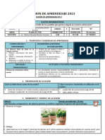 Sesion Plan Hierbas Aromaticas