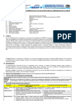 Sílabo de Planificación Por Competencias Iii - Viii