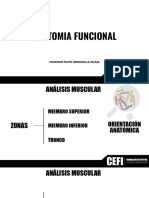 Clase Anatomia 5 - Musculos 