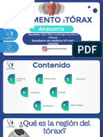 2022 II Anatomia Torax