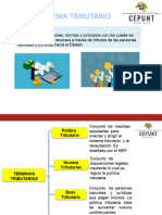 Sistema Tributario Semana 13