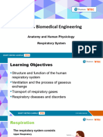 Respiratory System