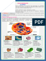 Ficha de Ciencia y Tecnología 28-03-2022