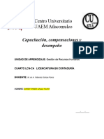 06-05-24 Capacitación, Compensaciones y Desempeño