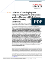 Duration of Stunting Impacts Compensatory Growth A