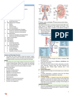 Urinary Renal System