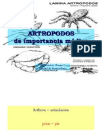 ARTROPODOS