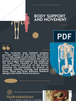 Body Support and Movement