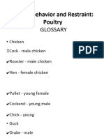 Poultry Restraints and Others