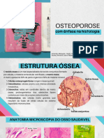 Slide Osteoporose