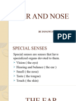 Special Senses (Ear and Nose)