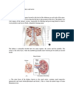 Urinary Tract Cytology Kidneys and Ureter